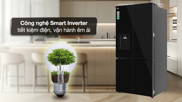 Tủ lạnh LG F58BGD 4 cánh có những tính năng gì nổi bật?